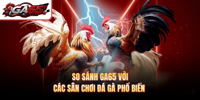 So sánh GA65 với các sân chơi đá gà phổ biến